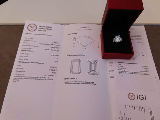 14 kt. Guldring med 9.12 ct. Emeraldsleben Diamanter