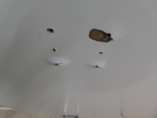 Spisebord Superelipse PIET HEIN