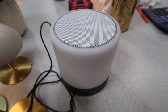 FM Radio samt div. Genopladelige lamper