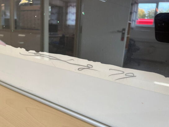 Litografi, Walasse Ting, Black Nude with Flowers, 1979 samt rumdeler