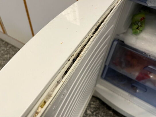 Køle/fryseskab med indhold