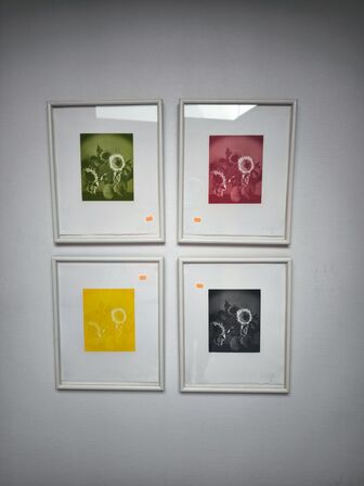 4 stk. indrammede papirtryk ERIK STEFFENSEN 1995