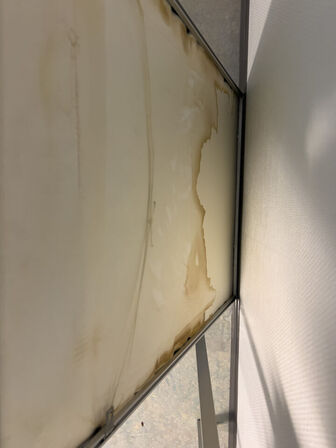 Litografi MAUD SINCLAIR 1990 (OBS: Har fået fugt)