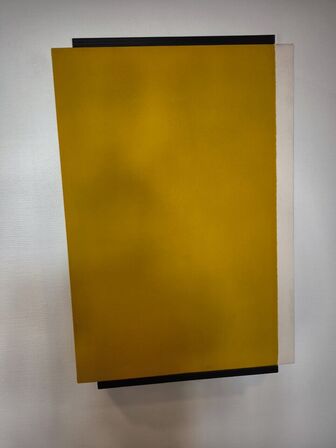 4 stk. håndmalede akustikpaneler i gul