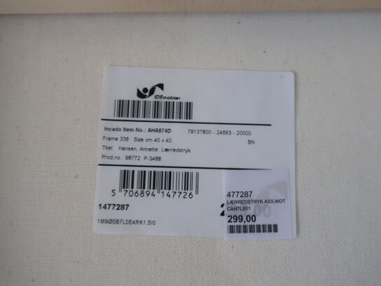 2 stk. lærredsprint i ramme 40x40