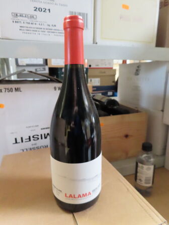 6 fl. rødvin, LALAMA 2021, Dominio do Bibei, Ribeiro, Galicia