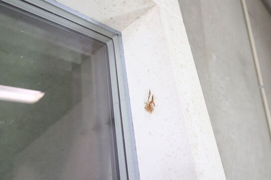 1 stk. Rationel vinduesparti