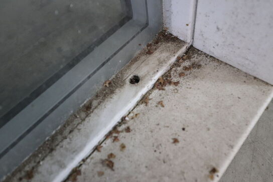 1 stk. Velfac vinduesparti