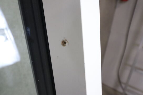 1 stk. Sparvinduer vinduesparti