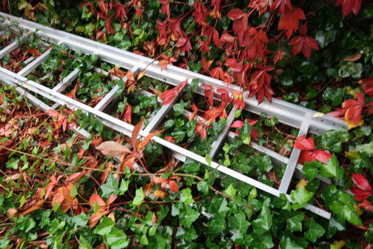 3 stk. stiger bl.a. JUMBO