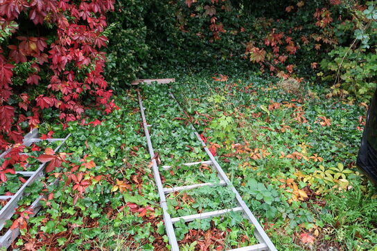 3 stk. stiger bl.a. JUMBO