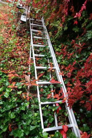 3 stk. stiger bl.a. JUMBO