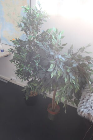 7 stk. kundstige planter