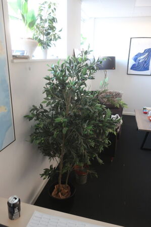 7 stk. kundstige planter