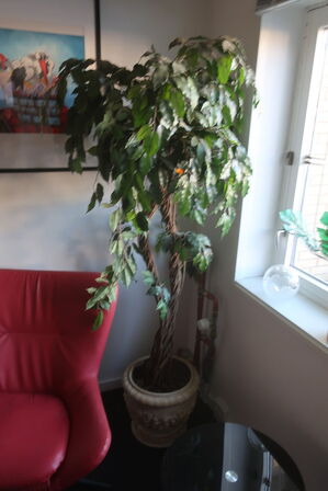 7 stk. kundstige planter