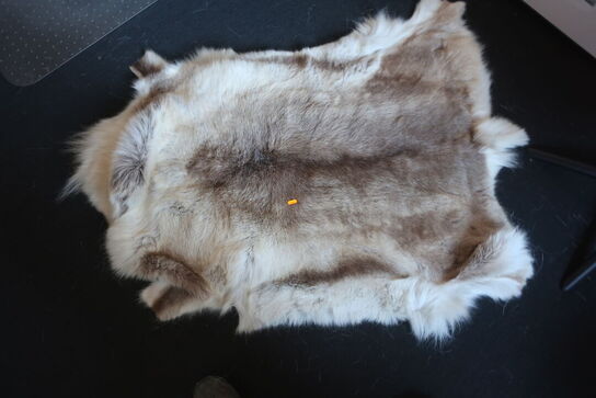 2 stk. stole HJORT KNUDSEN, bord og skin