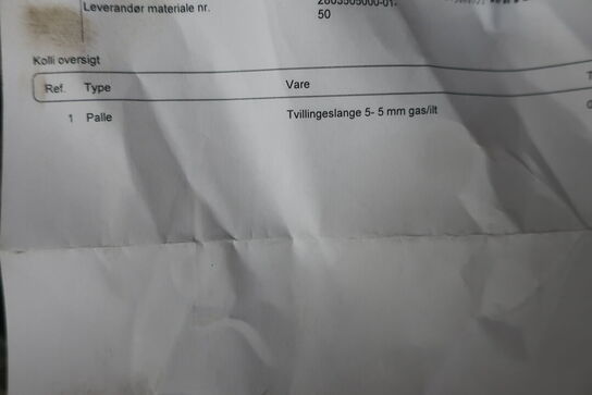 Tvilingeslange 